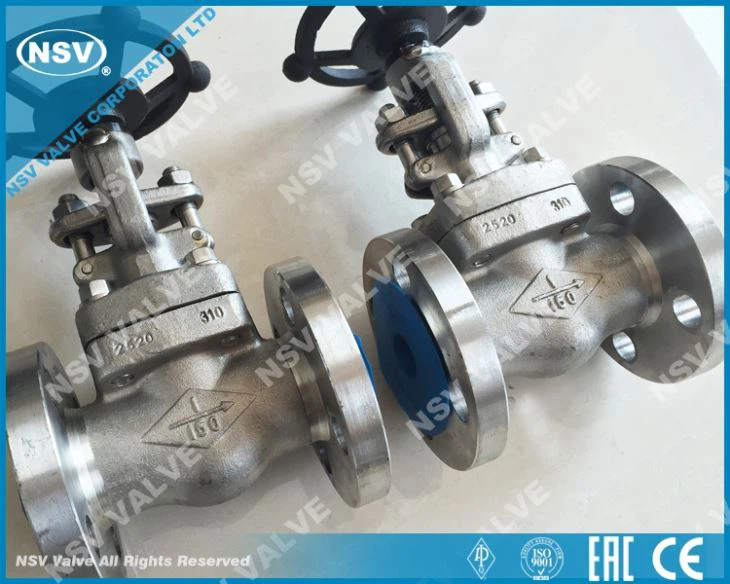 F310 Globe Valve